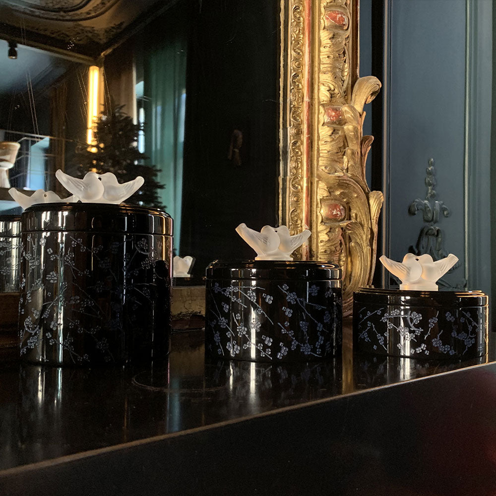 Boîte Fleurs de Cerisier Petit Modèle