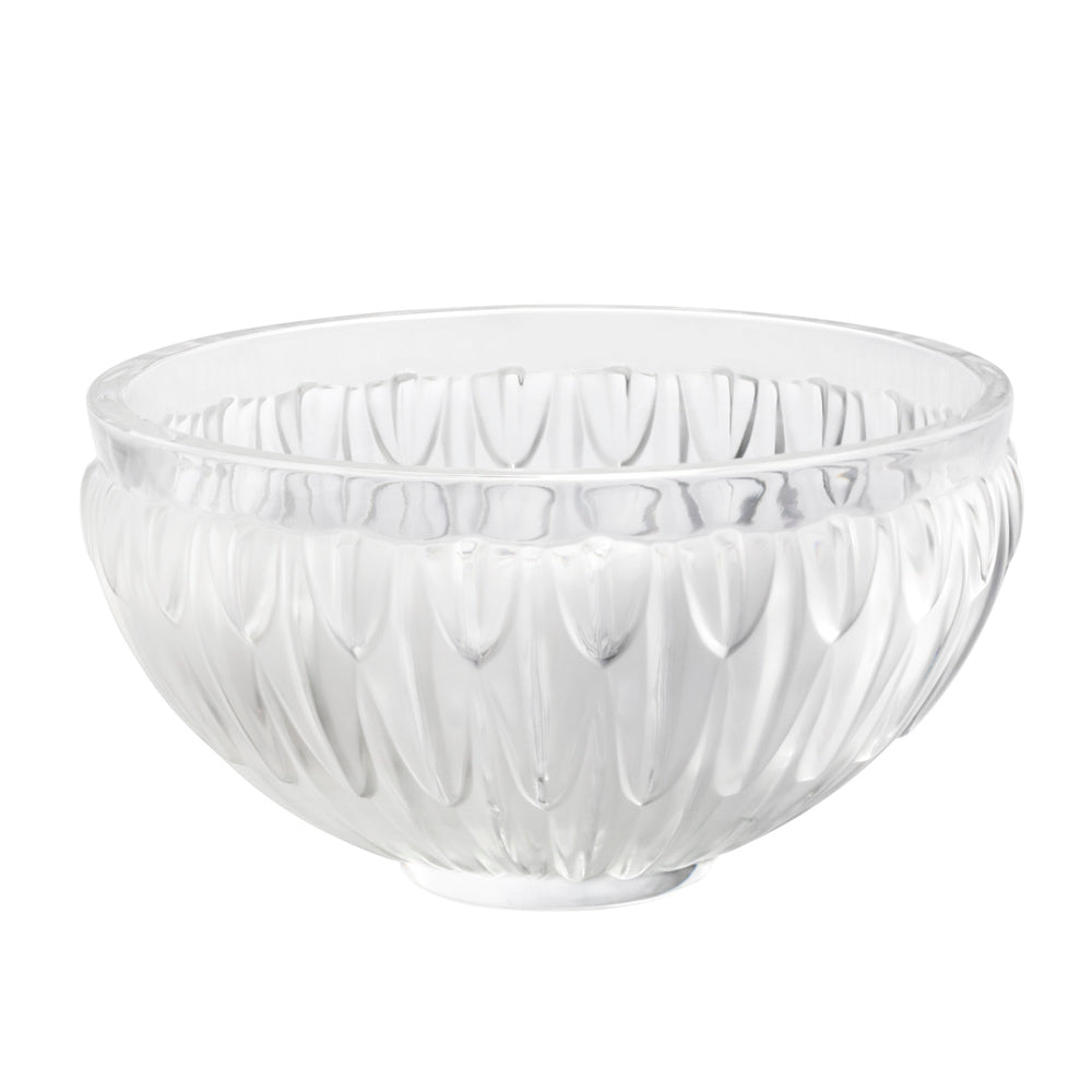 Coupe Plumes