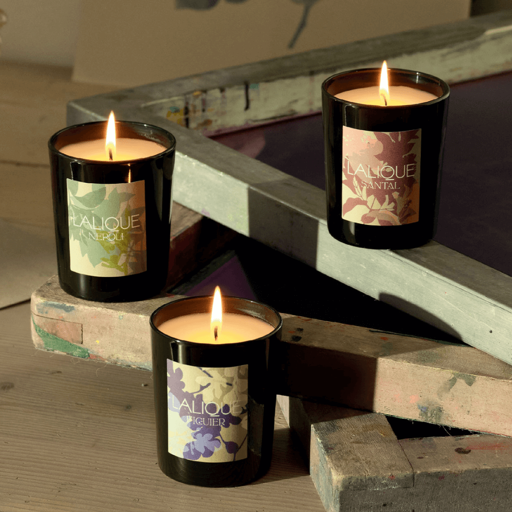 Néroli Casablanca - Maroc Bougie Parfumée Édition 2025