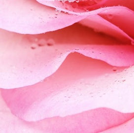 fragrance-dry-note-mineral-rose-accord.jpg