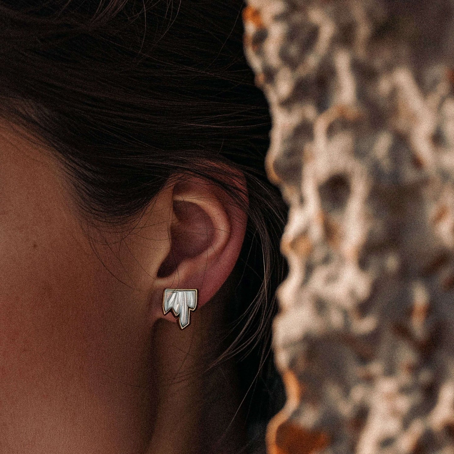 Puces d'oreilles Terramineral