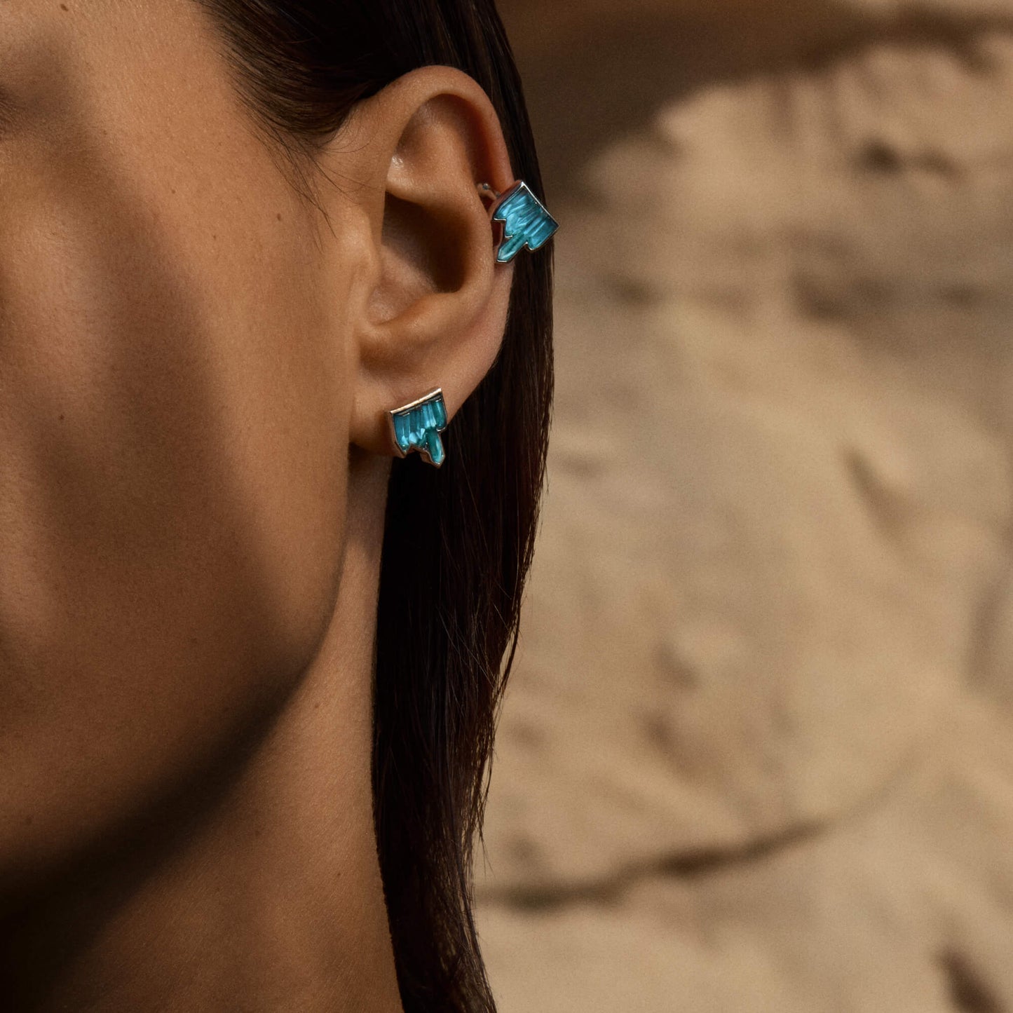 Puces d'oreilles Terramineral