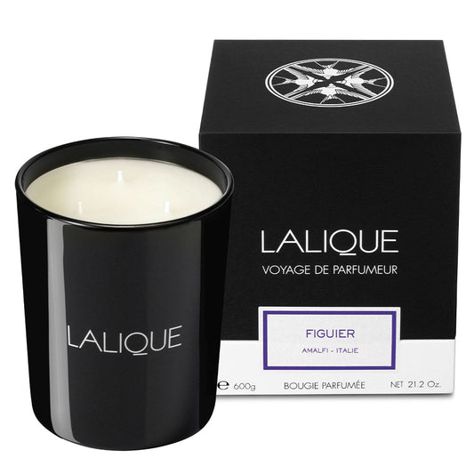 Fig Tree, Amalfi - Italy, Scented Candle, 600g