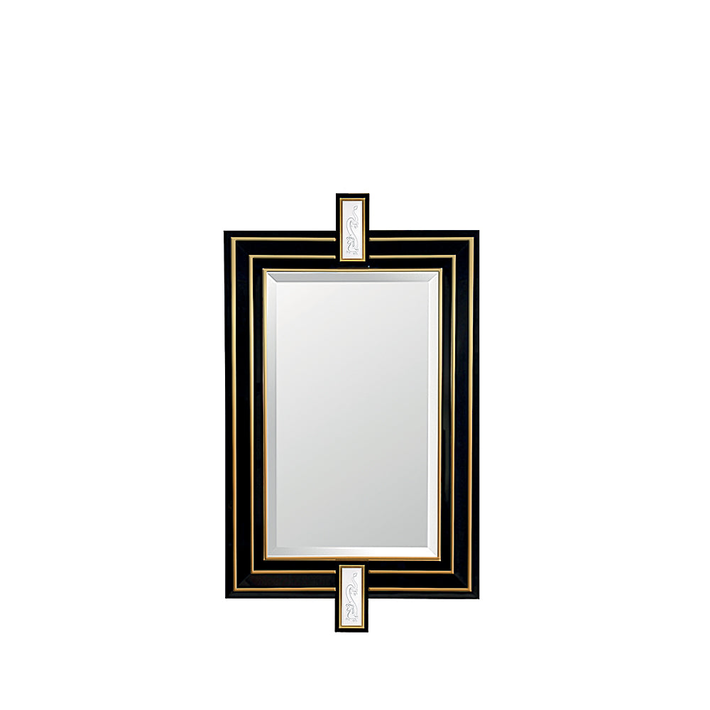 Tianlong mirror