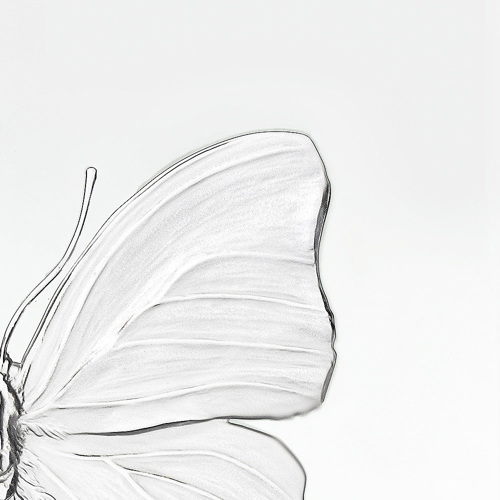 eternal Love Damien Hirst & Lalique 2015