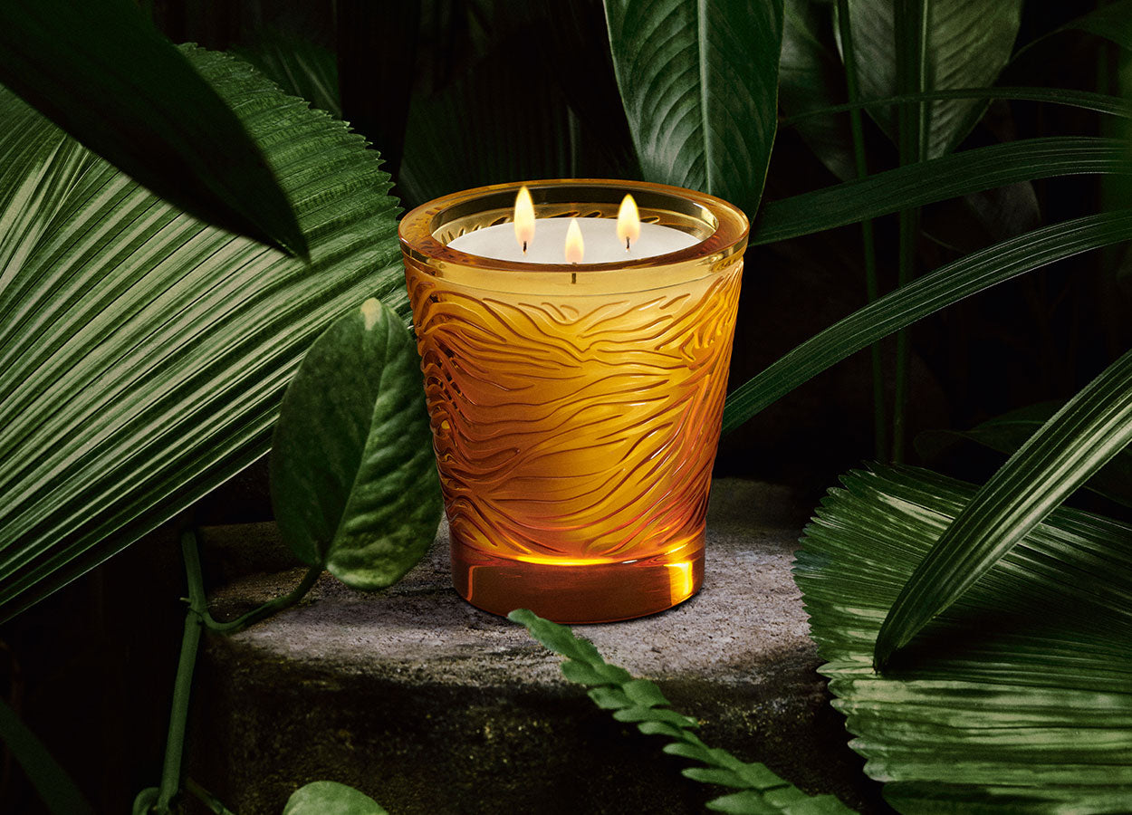 Jungle, Limited Edition Crystal Scented Candle – Lalique France