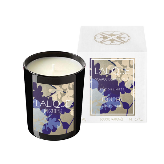 Figuier Amalfi - Italie Bougie Parfumée Édition 2025