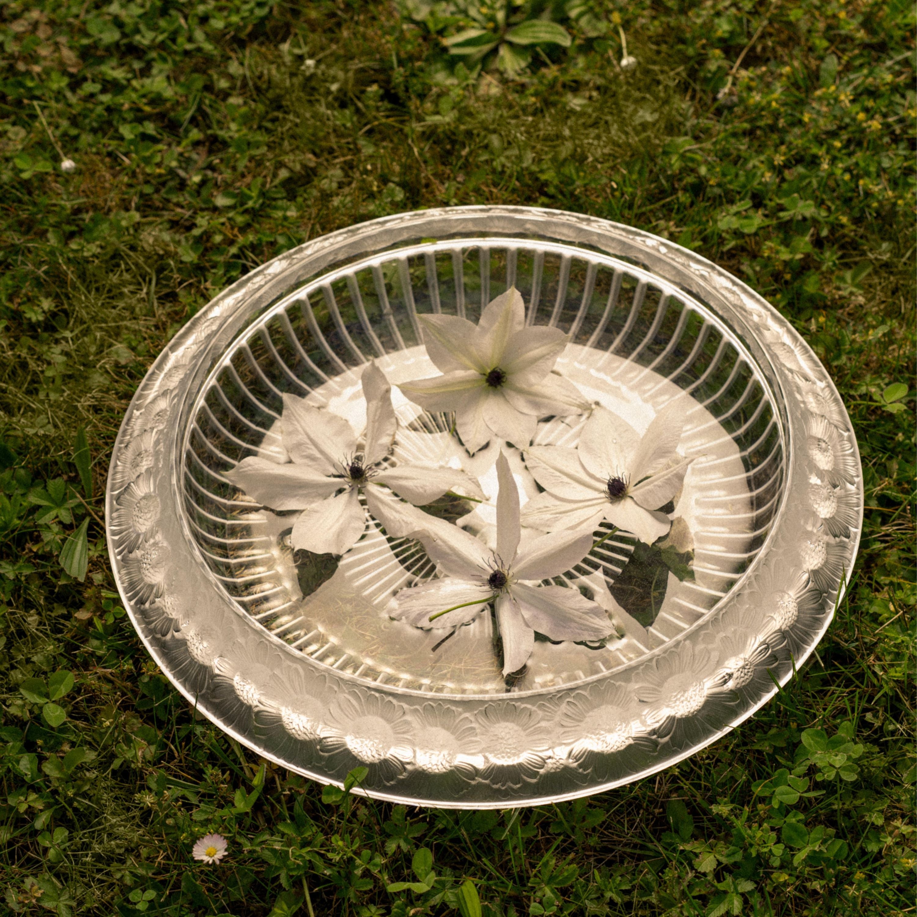 ラリック LALIQUE マルグリットマーガレット MARGUERITES Marguerites bowl – Lalique France