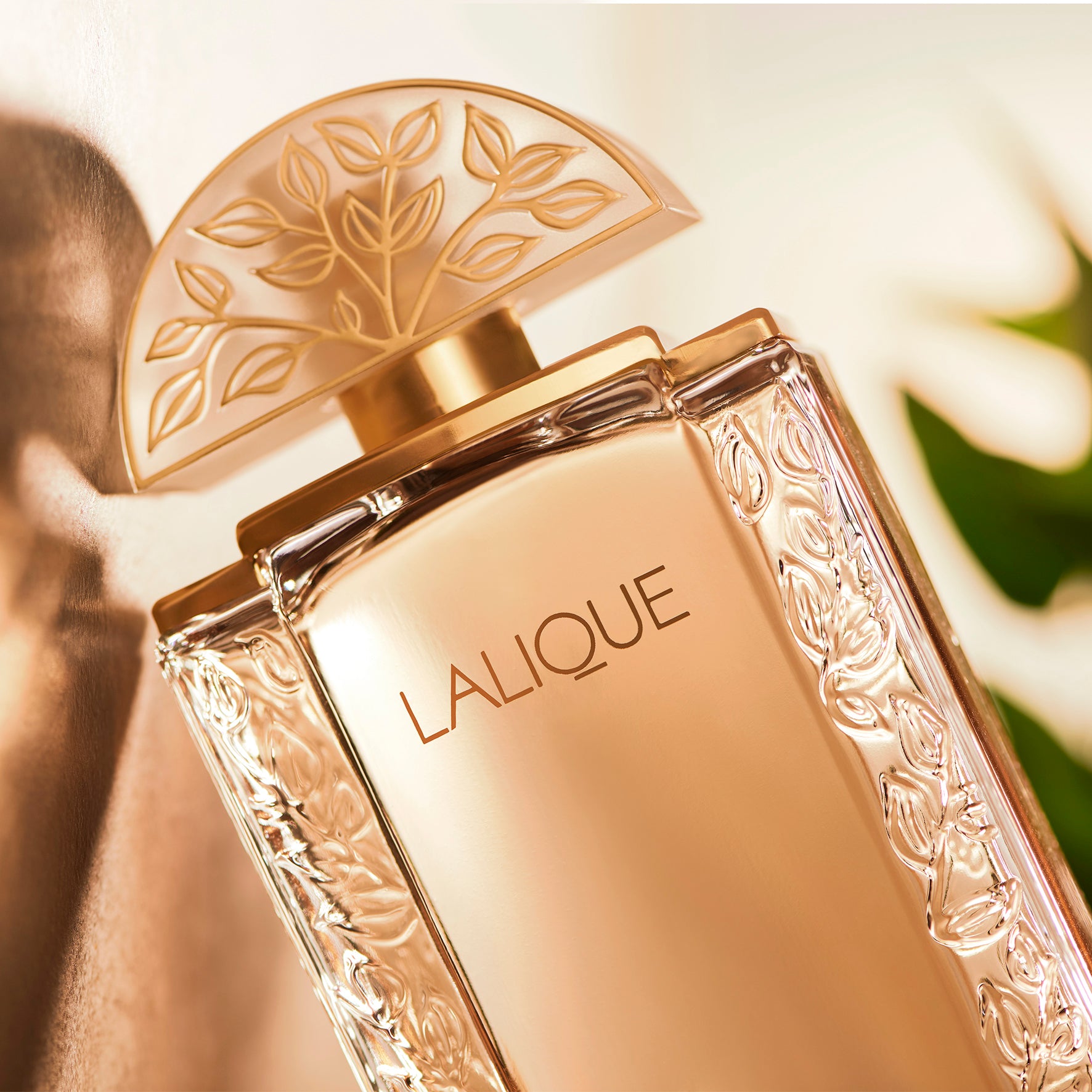 香水　ラリック　ルベゼ　オードトワレ　#251019 Lalique de Lalique, Eau de Parfum – Lalique France