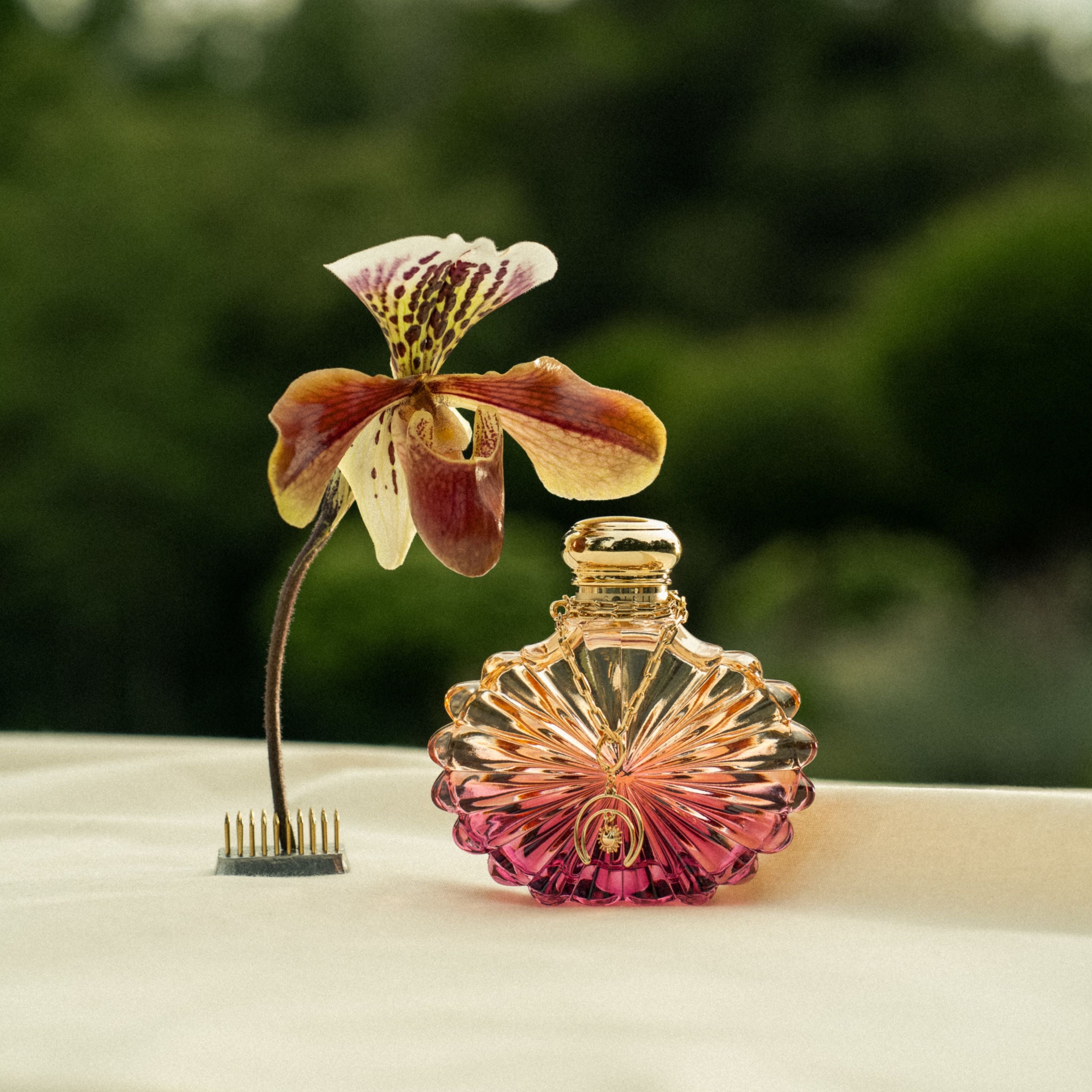 Soleil Lunar Lalique, Eau de Parfum – Lalique France