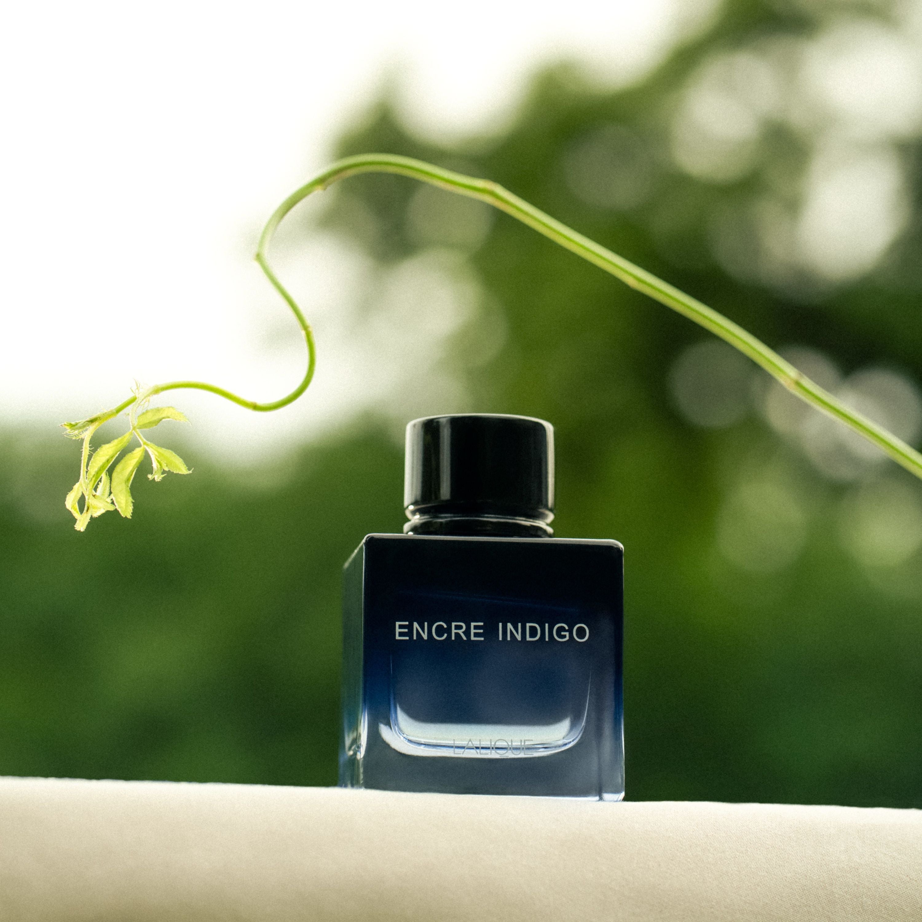 Encre Indigo, Eau de Parfum – Lalique France