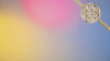 13399.mp4